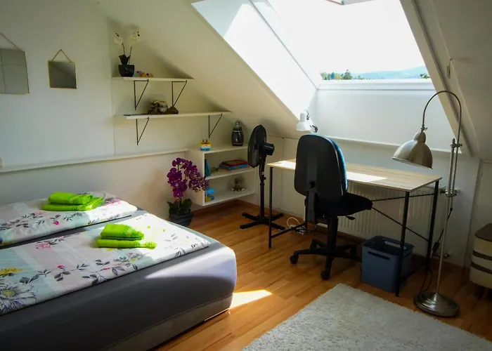 Stadtblick Vom Herrengut * Μπάντεν-Μπάντεν